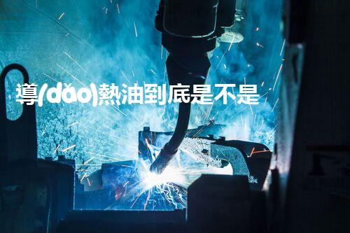 導(dǎo)熱油到底是不是?；费?？快來看看！